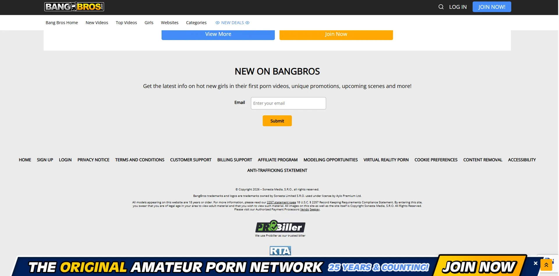 What Counts as a BangBros Alternative?